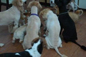 1380944021-301266003