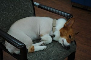 1380944022-2441595106