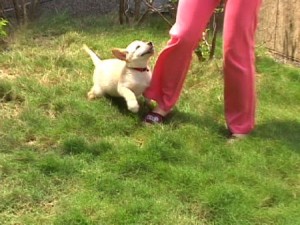 1380944029-1940688992