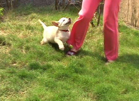 1380944029-1940688992