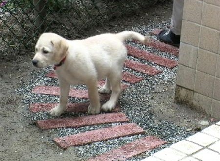 1380944029-2025180718