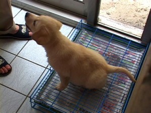 1380944031-3288222944