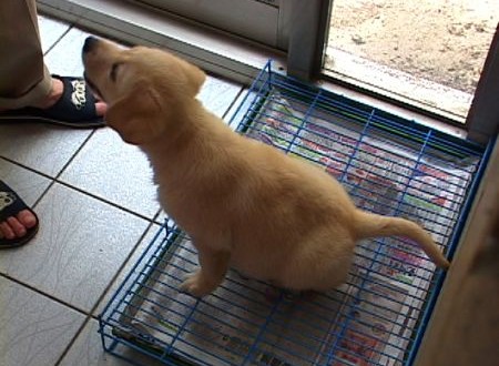 1380944031-3288222944