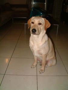 1380944032-3029202813