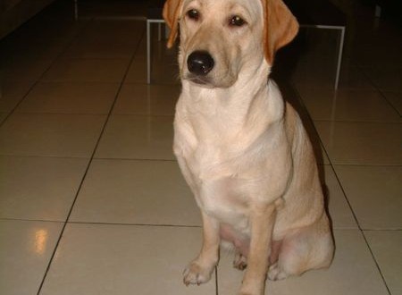 1380944032-3029202813