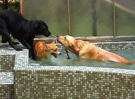 1380944033-1680379356