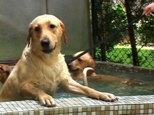 1380944033-3724349669