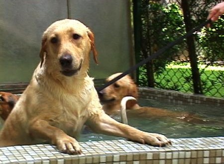 1380944033-3724349669