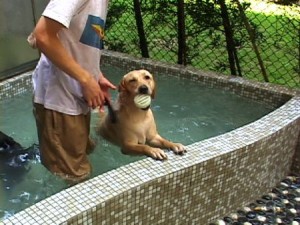 1380944034-4194608034