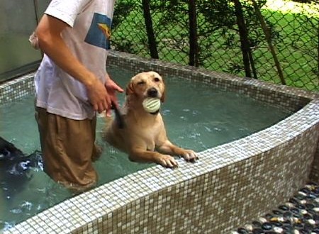 1380944034-4194608034