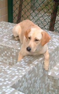 1380944034-4233424774