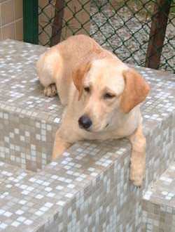 1380944034-4233424774