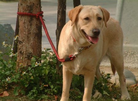 1380944035-533358263