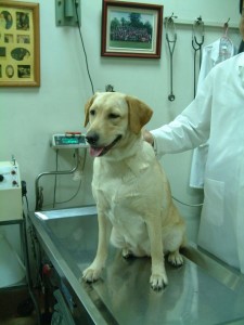 1380944036-2495787244