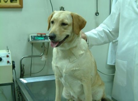 1380944036-2495787244