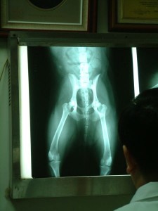 1380944037-2026904833