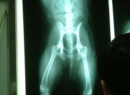 1380944037-2026904833