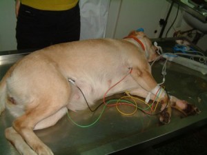 1380944037-341378215