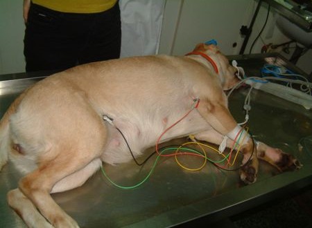 1380944037-341378215