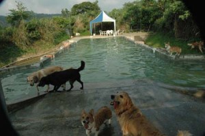 1380944037-4268623425