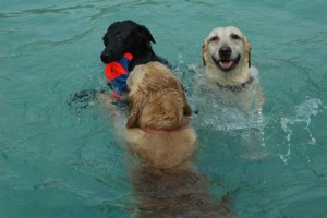 1380944038-3729039871