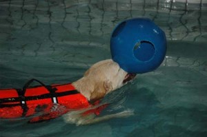 1380944038-558342421