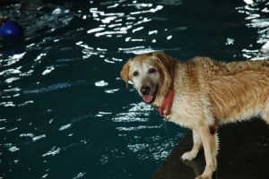 1380944039-1048653715