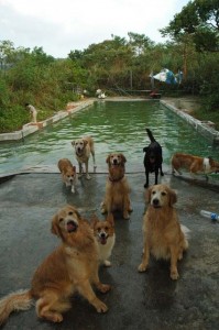 1380944039-1074633625