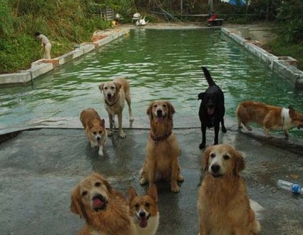 1380944039-1074633625