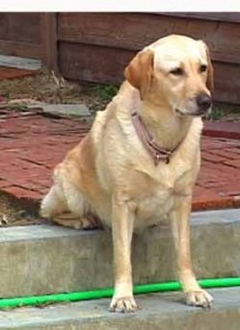 1380944040-201946747