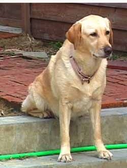 1380944040-201946747