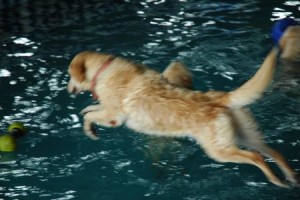 1380944040-3862568946