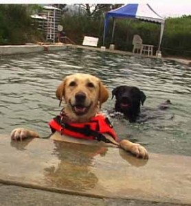 1380944041-2793036868