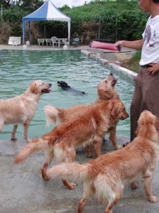 1380944041-4092695604