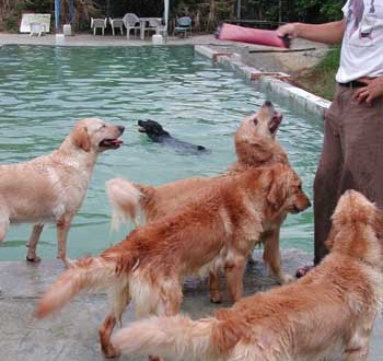 1380944041-4092695604