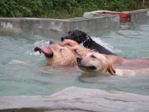 1380944041-459576406