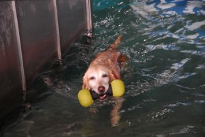 1380944042-1105952913