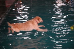 1380944042-3702361379