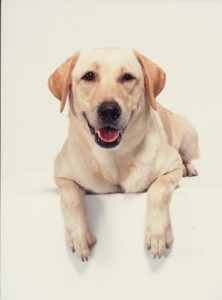 1380944044-2014736987