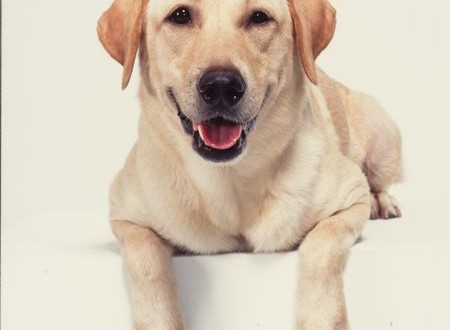 1380944044-2014736987