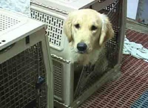 1380944045-2245048875