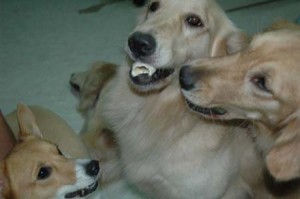 1380944045-2897539600