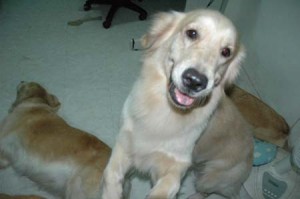 1380944045-3271520220