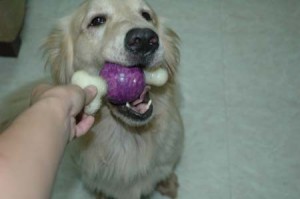 1380944046-1895704278