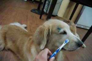 1380944046-3552220551