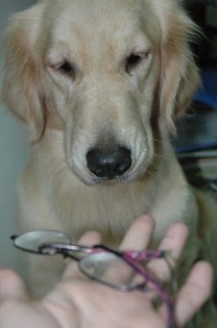 1380944047-3188998294