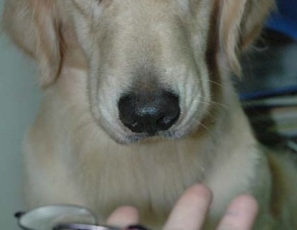 1380944047-3188998294