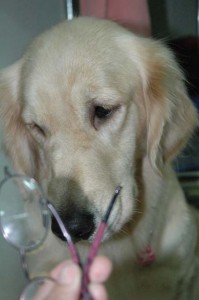 1380944047-3515571264