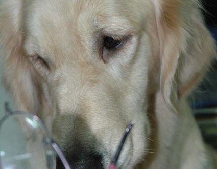 1380944047-3515571264