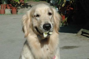 1380944048-152332752